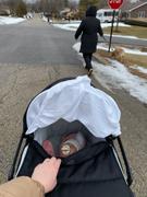 Orbit Baby  Review